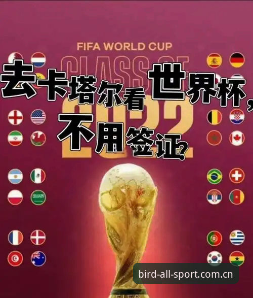 小鸟体育综合体育常见问题 世界杯观赛必备:签证风波下的旅行与观赛实用指南